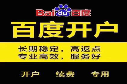 百度推广案例：从零到一的SEO优化之路